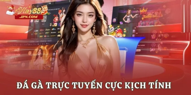 Đá gà trực tuyến cực kịch tính
